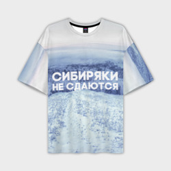 Мужская футболка oversize 3D Сибирь