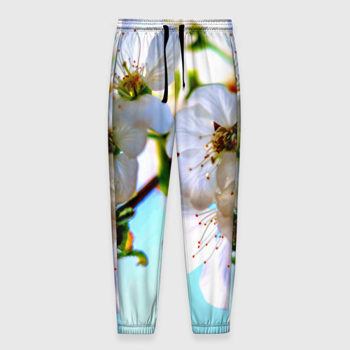 Мужские брюки 3D Ветка вишни, цвет 3D печать