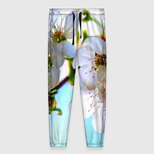 Женские брюки 3D Ветка вишни, цвет 3D печать