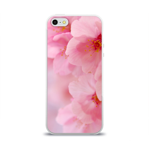 Чехол для Apple iPhone 5/5S силиконовый глянцевый Сакура Фото 01 Чехол для Apple iPhone 5/5S силиконовый глянцевый Сакура Фото 01