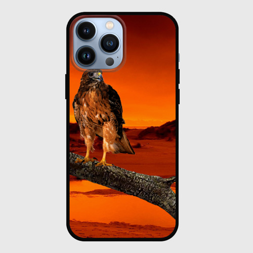 Чехол для iPhone 13 Pro Max с принтом Орел, вид спереди #2