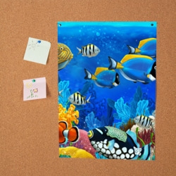Постер Экзотические рыбки - фото 2
