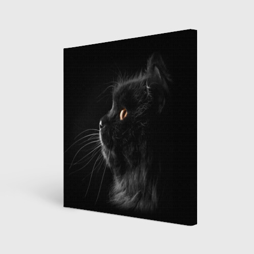Холст квадратный Милая кошечка Фото 01 Холст квадратный Милая кошечка Фото 01