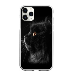 Милая кошечка Милая кошечка