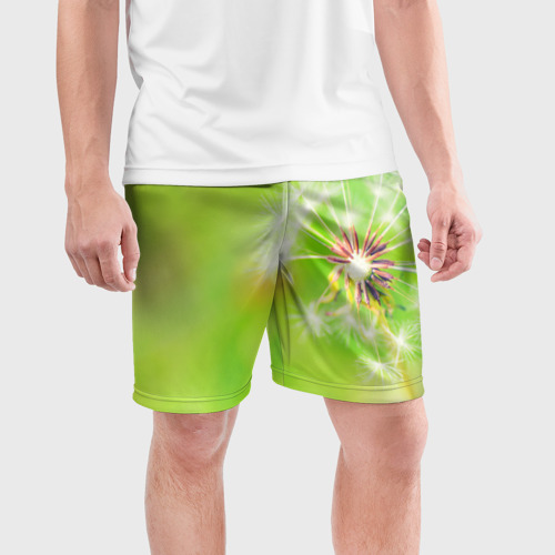 Мужские шорты спортивные Одуванчик, цвет 3D печать - фото 3