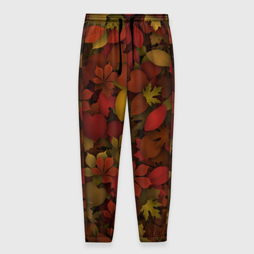 Мужские брюки 3D Осенние листья
