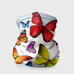 Butterflies – Бандана-труба с принтом купить