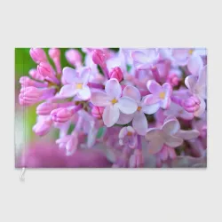 Флаг 3D Сирень