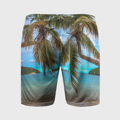 Мужские шорты спортивные Пальма, цвет 3D печать - фото 2