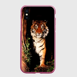 Чехол для iPhone XS Max матовый Тигр выглядывает из темноты - большая картинка