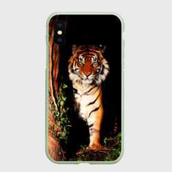 Чехол для iPhone XS Max матовый Тигр выглядывает из темноты - большая картинка