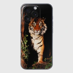 Чехол для iPhone 16 Pro Max силиконовый с защитой камеры Тигр выглядывает из темноты - большая картинка