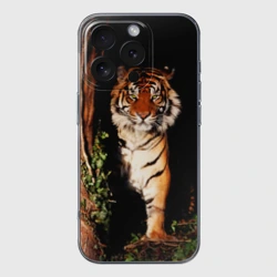 Чехол для iPhone 16 Pro силиконовый с защитой камеры Тигр выглядывает из темноты - большая картинка