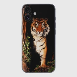 Чехол для iPhone 16 силиконовый с защитой камеры Тигр выглядывает из темноты - большая картинка