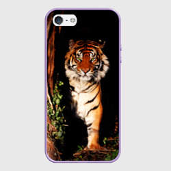 Чехол для iPhone 5/5S матовый Тигр выглядывает из темноты - большая картинка