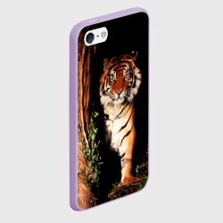 Чехол для iPhone 5/5S матовый Тигр выглядывает из темноты - большая картинка - фото 2