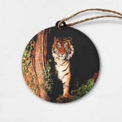 Деревянная игрушка круг Тигр выглядывает из темноты - большая картинка