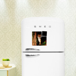 Магнитный плакат 3Х3 Тигр выглядывает из темноты - большая картинка - фото 2