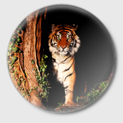 Значок Тигр выглядывает из темноты - большая картинка