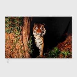 Флаг 3D Тигр выглядывает из темноты - большая картинка