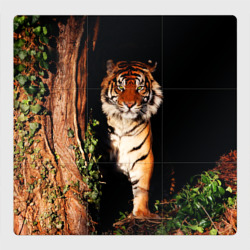 Магнитный плакат 3Х3 Тигр выглядывает из темноты - большая картинка