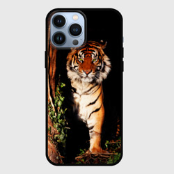 Чехол для iPhone 13 Pro Max Тигр выглядывает из темноты - большая картинка