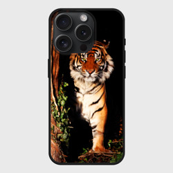 Чехол силиконовый для Apple iPhone 15 Pro матовый Тигр выглядывает из темноты - большая картинка