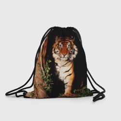 Рюкзак-мешок 3D Тигр выглядывает из темноты - большая картинка