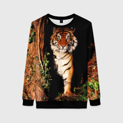 Женский свитшот 3D Тигр выглядывает из темноты - большая картинка