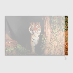 Флаг 3D Тигр выглядывает из темноты - большая картинка - фото 2