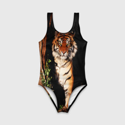 Детский купальник 3D Тигр выглядывает из темноты - большая картинка - фото 2