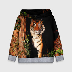 Детская толстовка 3D Тигр выглядывает из темноты - большая картинка