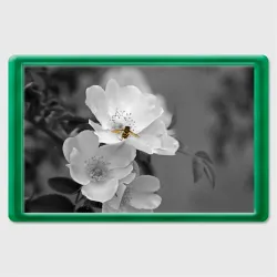 Магнит 45*70 Пчела на цветах