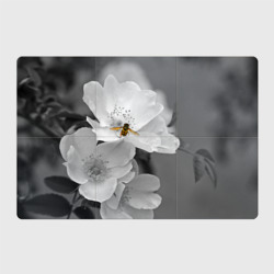 Магнитный плакат 3Х2 Пчела на цветах