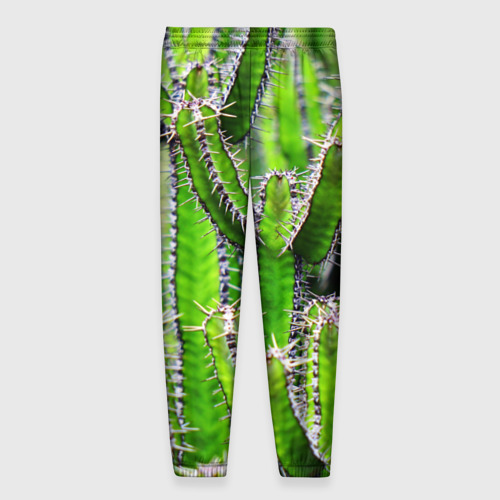 Мужские брюки 3D Кактус, цвет 3D печать - фото 2