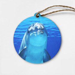 Деревянная игрушка круг Дельфин