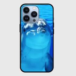 Чехол для iPhone 13 Pro Дельфин