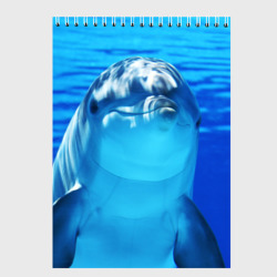 Скетчбук Дельфин