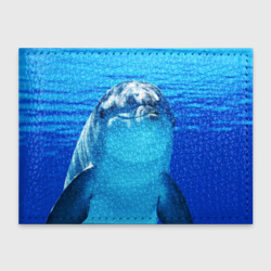 Обложка для студенческого билета Дельфин