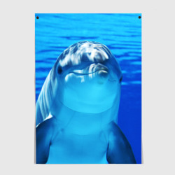 Постер Дельфин