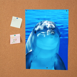 Постер Дельфин - фото 2