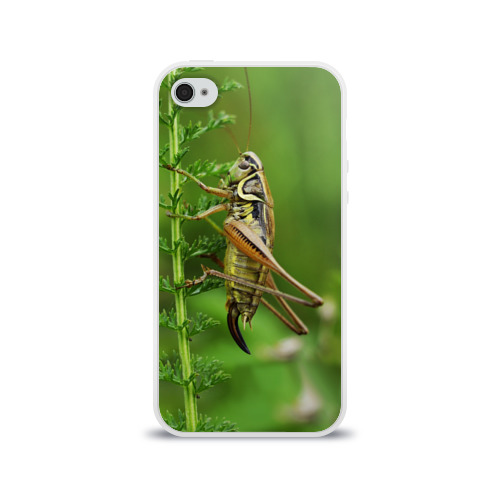 Чехол для Apple iPhone 4/4S силиконовый глянцевый Кузнечик Фото 01 Чехол для Apple iPhone 4/4S силиконовый глянцевый Кузнечик Фото 01