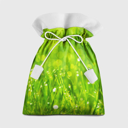 Подарочный 3D мешок Роса на траве