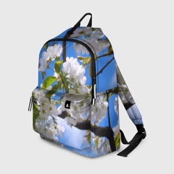 Рюкзак 3D Вишнёвый цвет