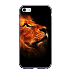 Lion Lion