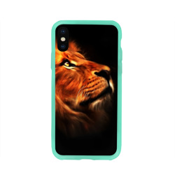 Lion Lion
