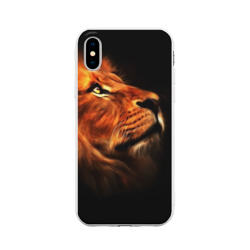 Lion Lion