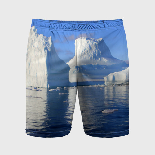 Мужские шорты спортивные Айсберг, цвет 3D печать