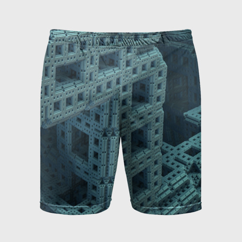 Мужские шорты спортивные Фрактал, цвет 3D печать