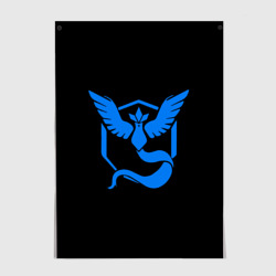 Постер Pokemon Blue Team